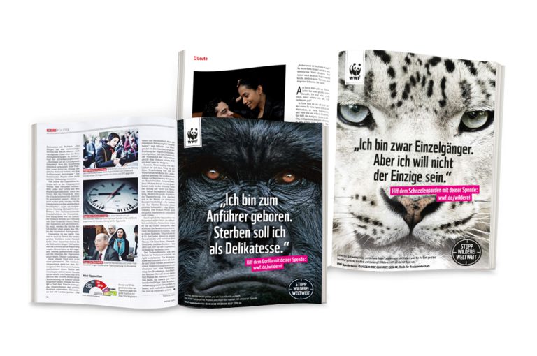track-case-wwf-slots-anzeigen