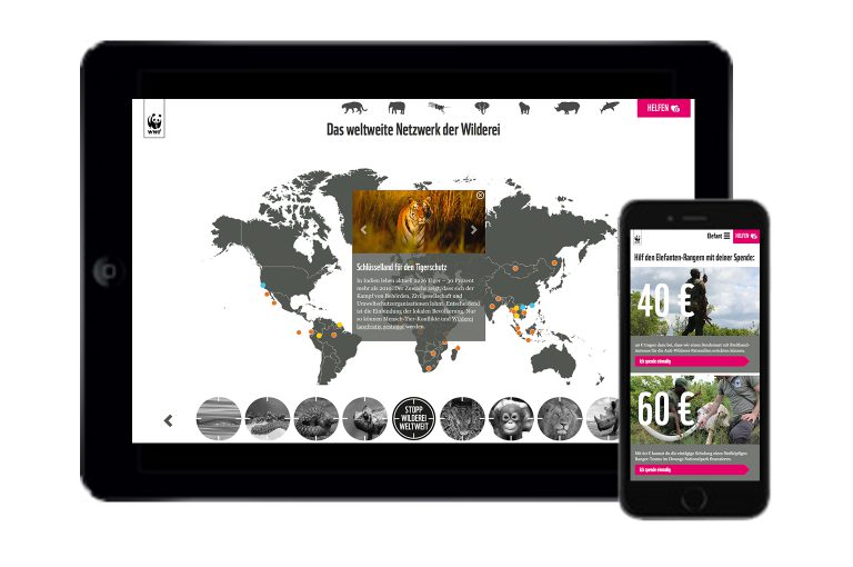track-cases-wwf-slots-microsite